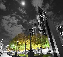 Black & White versus Colour by nicomelbourne