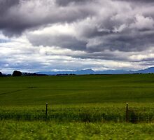 Green Field (S. Oregon) by ZWC Photography