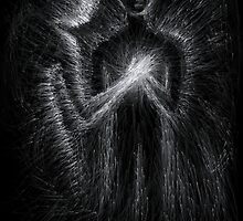 Light Heart by Adam Perry