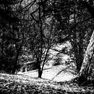 Deer Park View by axp7884