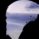 Dandelions by axp7884