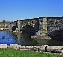 Old foot bridge ! by Nancy Richard