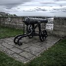 Coastal Cannon by axp7884