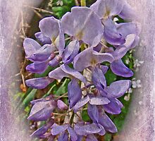 Heaven Scent - Running Wild by MotherNature