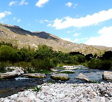 River with stones by dedakota