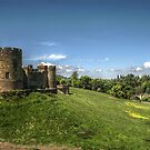 Alnwick Castle & Bridge by axp7884