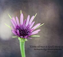 Coincidence by smilingrain