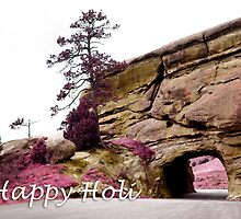 happy holi colorful landscape by maydaze