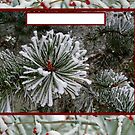 Christmas card with snow on pine by Cheryl Hall