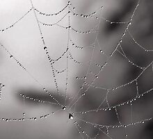 Web drops by vribeiro