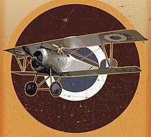 Vintage Look Nieuport fighter biplane on French Emblem by VintageSpirit