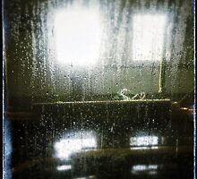 What you fear by Anne McGinn