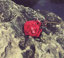 Love and Hard Times by Laurie Search
