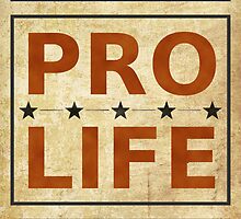 Pro Life Billboard by morningdance
