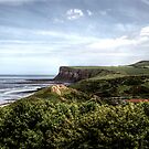 Saltburn Cliffs View by Andrew Pounder