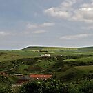 Saltburn Cliffs & Countryside Landscape by Andrew Pounder
