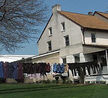 Mennonite Laundry 2 by Betty Mackey