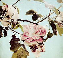 a beautiful mess by Kelly Letky