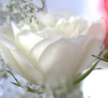 Heaven Scent ! by Doug Norkum
