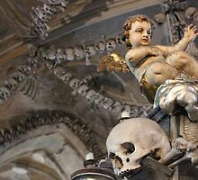 Bones and Cherubs by Dave Austin