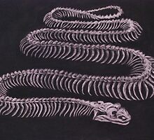 Snake skeleton by Inese