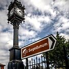 Segedunum Sign Post by Andrew Pounder