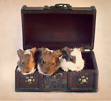 Chest Full Of Treasures by Tangerine-Tane