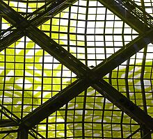 The Net Is Closing In by PictureNZ