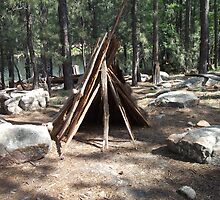 Teepee Visitors of Willows Springs Made by ToGalaxy
