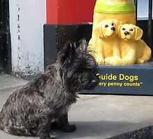 Guard Scottie by diggle