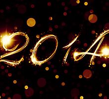2014 by maydaze