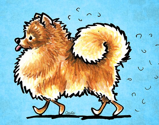pomeranian molting quot pomeranian shedding hair turquoise quot by offleashart redbubble pomeranian molting quot pomeranian shedding hair turquoise quot by offleashart redbubble