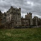 Raby Castle by Andrew Pounder