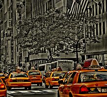 Rear View of Yellow Cabs on 5th Ave by jalfc46