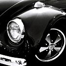 Black Beetle by Andrew Pounder