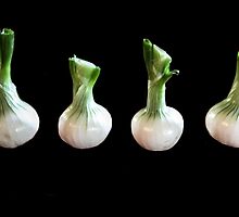 Dancing Onions! by heatherfriedman