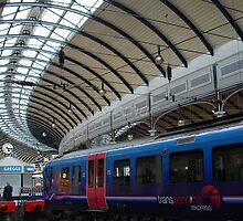 Newcastle Central Station: Spinal Ceiling by justbmac