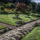 Carlisle Park by Andrew Pounder