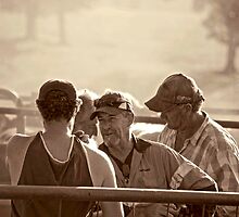Farming in Dorrigo, NSW by Clare Colins
