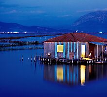 Pelada @ Messolonghi lagoon by Hercules Milas
