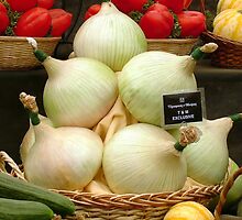 Onions to be Proud Of by AnnDixon