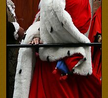 Noble Lady In Velvet & Ermine by patjila
