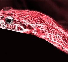 Glow - Snake (Red) by TeamIrora