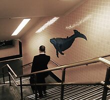 Descending by MichaelCouacaud