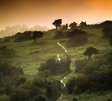 Full Moon Landscape at Sunset by Heidi Stewart