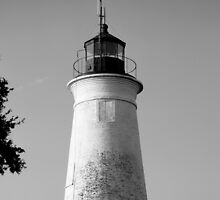 St Marks Lighthouse by Roger Otto