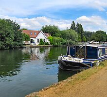 RIVERSIDE PROPERTY by ronsaunders47