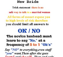 Advice to New Husbands by fennstars