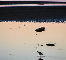 Heron at Dusk by Silken Photography