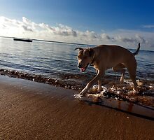 Every day is her day. by Alex Preiss
